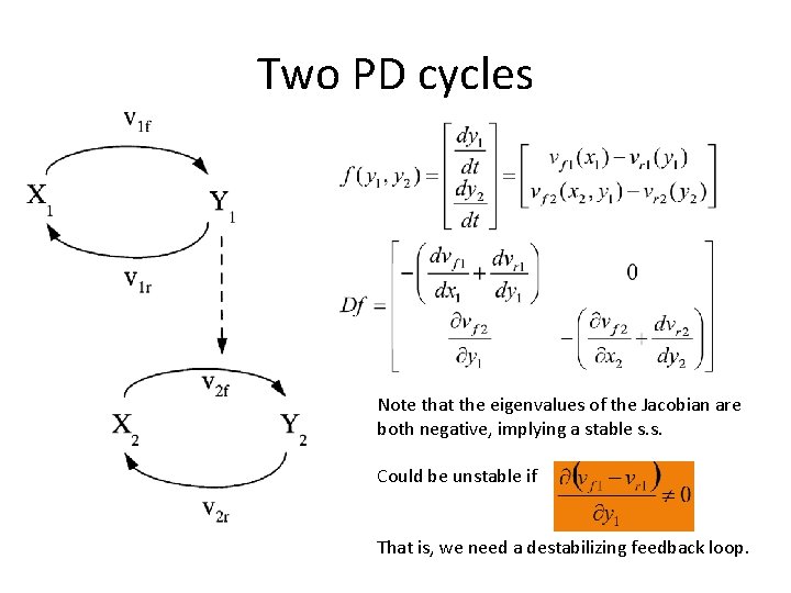 Two PD cycles Note that the eigenvalues of the Jacobian are both negative, implying