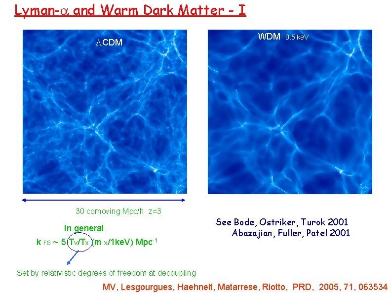 Lyman-a and Warm Dark Matter - I LCDM 30 comoving Mpc/h z=3 In general