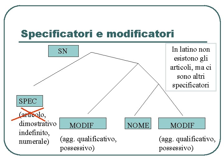 Specificatori e modificatori In latino non esistono gli articoli, ma ci sono altri specificatori Specificatori e modificatori In latino non esistono gli articoli, ma ci sono altri specificatori