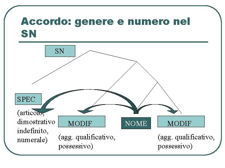 Accordo: genere e numero nel SN SN SPEC (articolo, dimostrativo MODIF indefinito, numerale) (agg. Accordo: genere e numero nel SN SN SPEC (articolo, dimostrativo MODIF indefinito, numerale) (agg.
