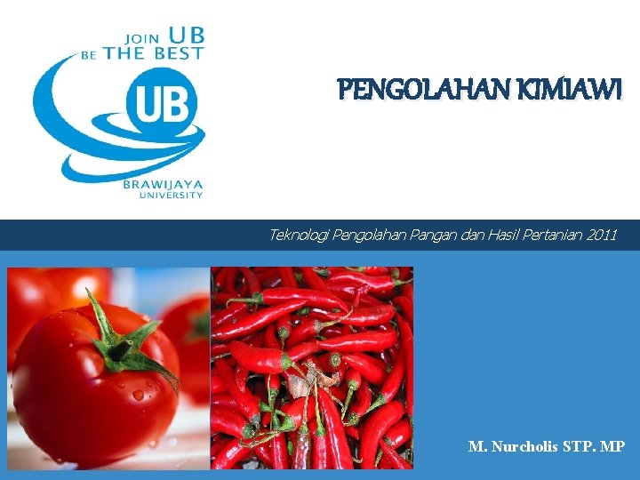 PENGOLAHAN KIMIAWI Teknologi Pengolahan Pangan dan Hasil Pertanian 2011 M. Nurcholis STP. MP 