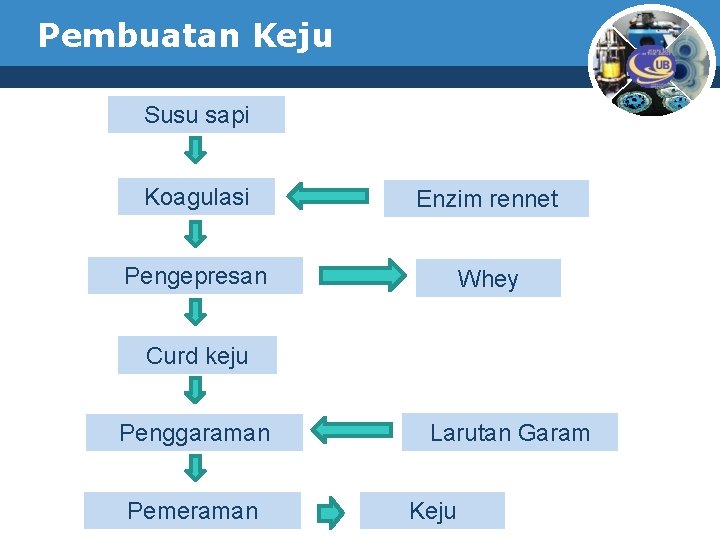 Pembuatan Keju Susu sapi Koagulasi Enzim rennet Pengepresan Whey Curd keju Penggaraman Pemeraman Larutan