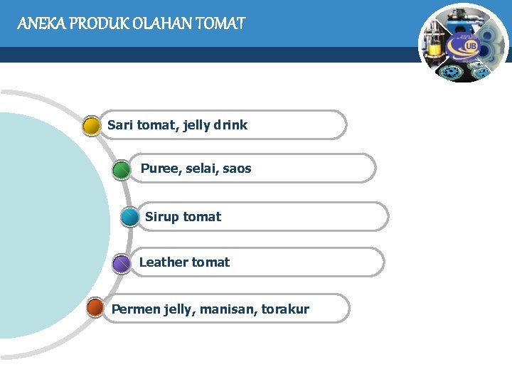ANEKA PRODUK OLAHAN TOMAT Sari tomat, jelly drink Puree, selai, saos Sirup tomat Leather