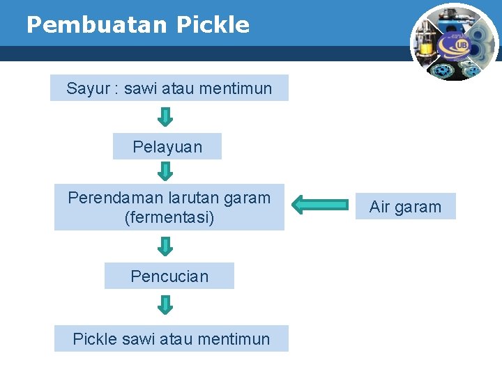 Pembuatan Pickle Sayur : sawi atau mentimun Pelayuan Perendaman larutan garam (fermentasi) Pencucian Pickle