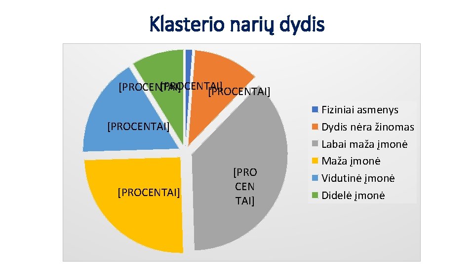 Klasterio narių dydis [PROCENTAI] [PROCENTAI] [PRO CEN TAI] Fiziniai asmenys Dydis nėra žinomas Labai