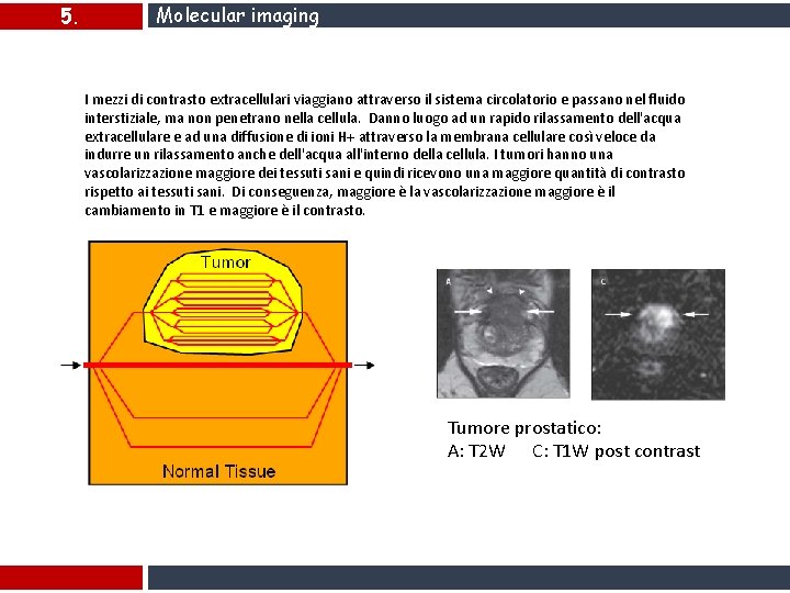 5. Molecular imaging I mezzi di contrasto extracellulari viaggiano attraverso il sistema circolatorio e