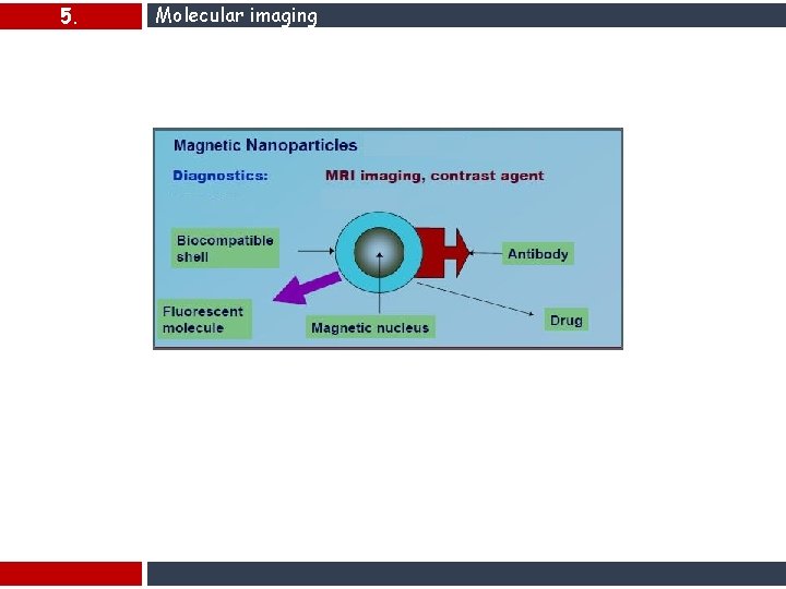 5. Molecular imaging 