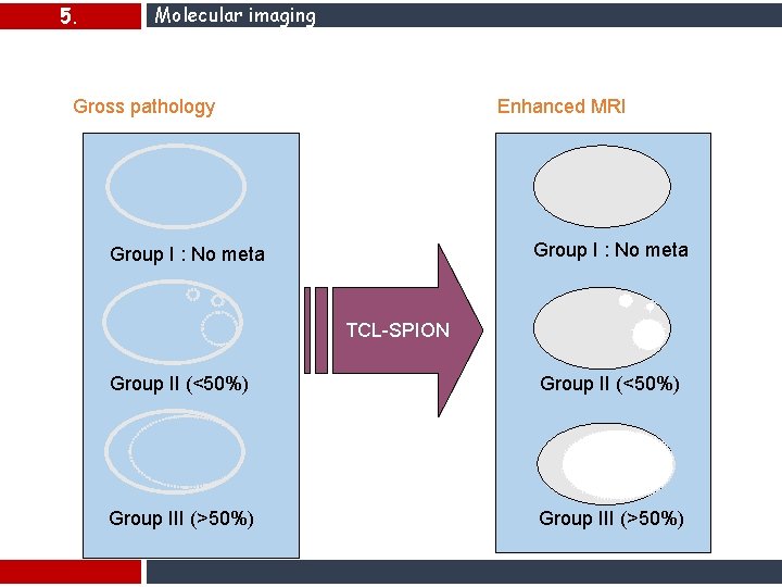5. Molecular imaging Results Gross pathology Enhanced MRI Group I : No meta TCL-SPION 5. Molecular imaging Results Gross pathology Enhanced MRI Group I : No meta TCL-SPION