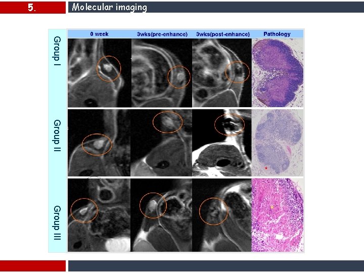 Molecular imaging 5. In vivo Group III 