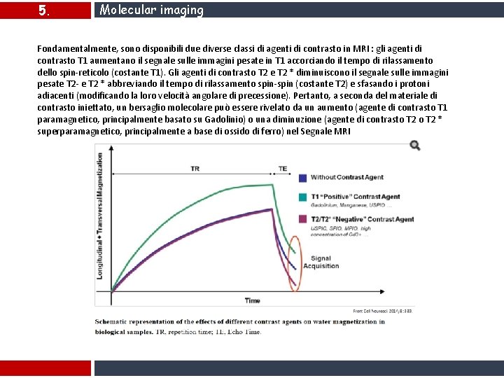 5. Molecular imaging Fondamentalmente, sono disponibili due diverse classi di agenti di contrasto in