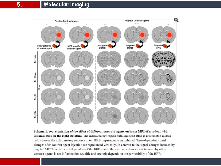 5. Molecular imaging 