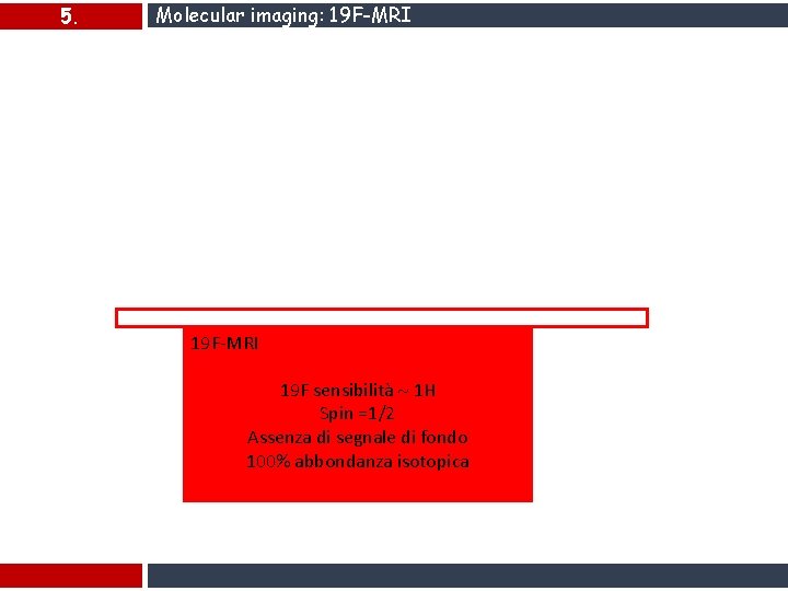 5. Molecular imaging: 19 F-MRI 19 F sensibilità 1 H Spin =1/2 Assenza di