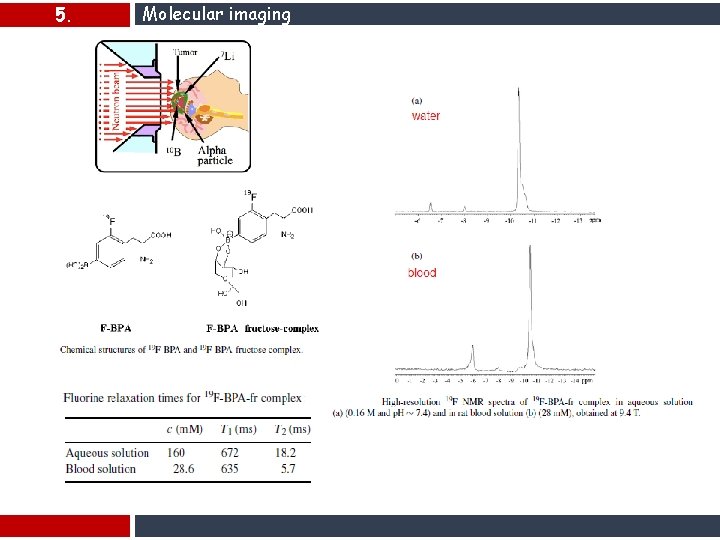 5. Molecular imaging 