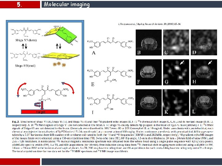 5. Molecular imaging target 