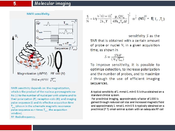 5. Molecular imaging A typical sensitivity of 1 mmol-1. min-0. 5 is thus obtained