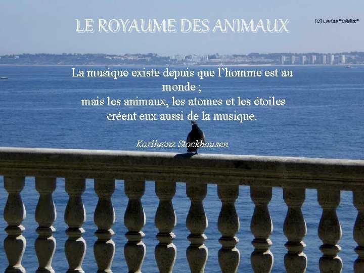 LE ROYAUME DES ANIMAUX La musique existe depuis que l’homme est au monde ;
