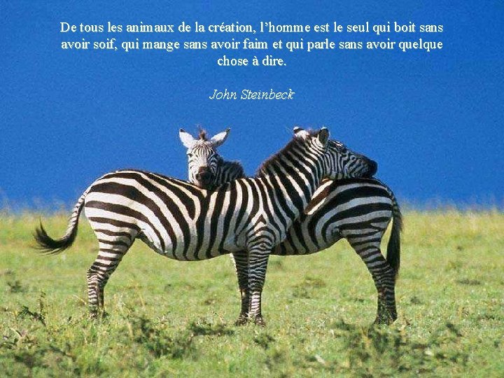 De tous les animaux de la création, l’homme est le seul qui boit sans