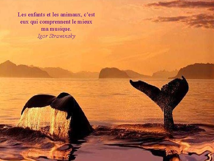 Les enfants et les animaux, c’est eux qui comprennent le mieux ma musique. Igor