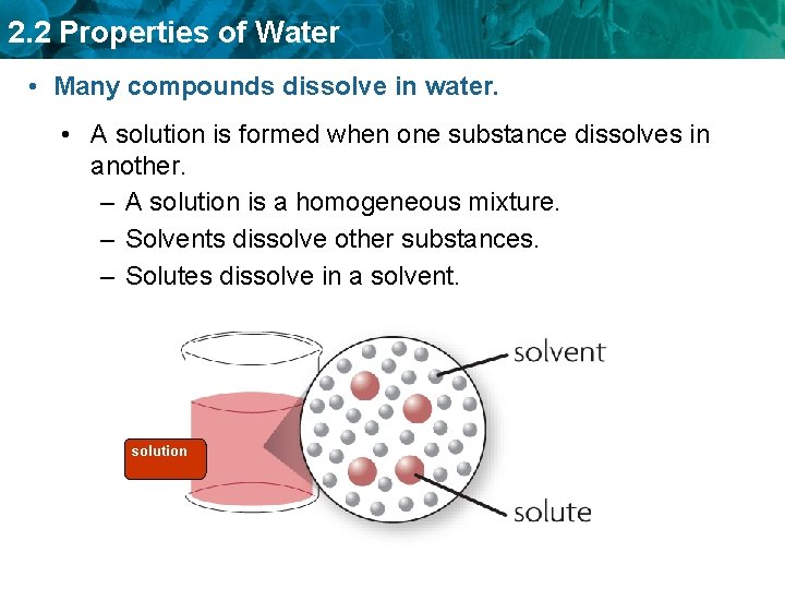 2. 2 Properties of Water • Many compounds dissolve in water. • A solution
