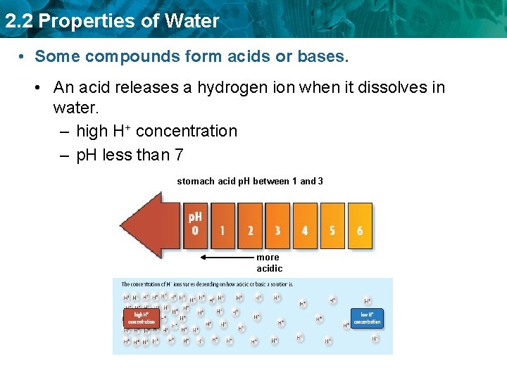 2. 2 Properties of Water • Some compounds form acids or bases. • An