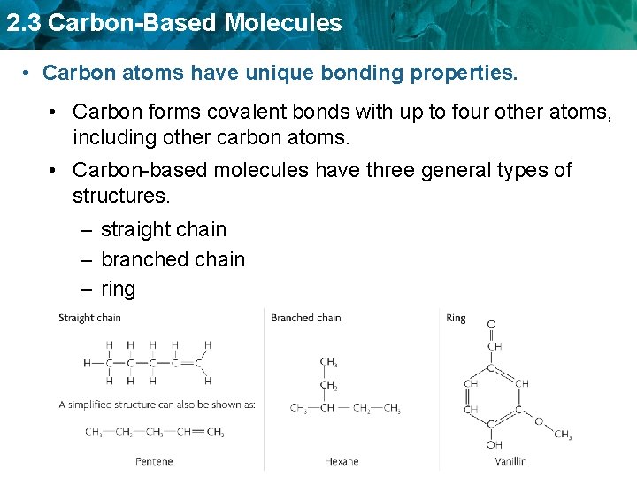 2. 3 Carbon-Based Molecules • Carbon atoms have unique bonding properties. • Carbon forms