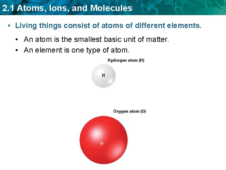 2. 1 Atoms, Ions, and Molecules • Living things consist of atoms of different