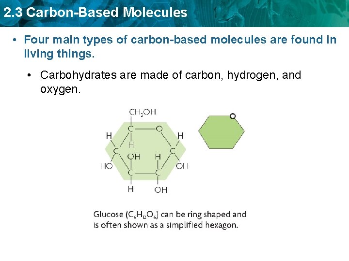 2. 3 Carbon-Based Molecules • Four main types of carbon-based molecules are found in