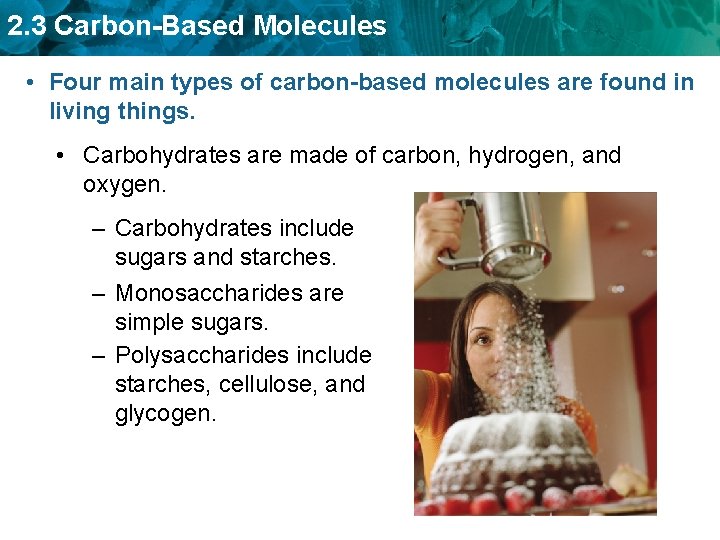 2. 3 Carbon-Based Molecules • Four main types of carbon-based molecules are found in