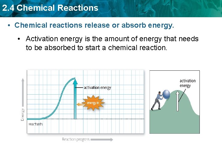2. 4 Chemical Reactions • Chemical reactions release or absorb energy. • Activation energy