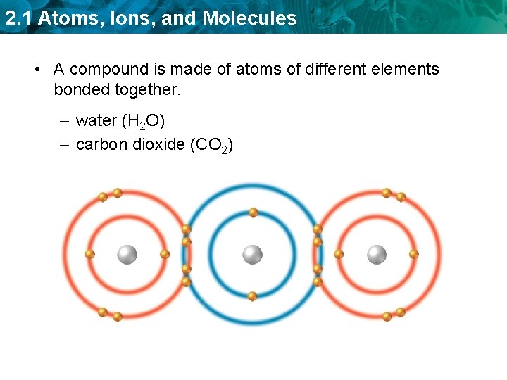 2. 1 Atoms, Ions, and Molecules • A compound is made of atoms of