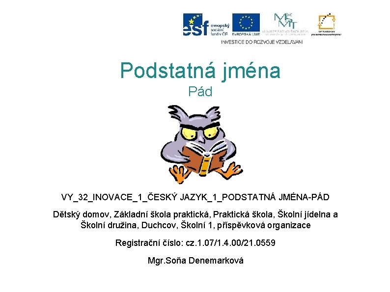 Podstatná jména Pád VY_32_INOVACE_1_ČESKÝ JAZYK_1_PODSTATNÁ JMÉNA-PÁD Dětský domov, Základní škola praktická, Praktická škola, Školní