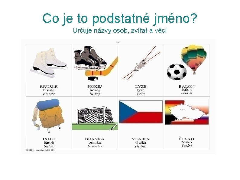 Co je to podstatné jméno? Určuje názvy osob, zvířat a věcí 