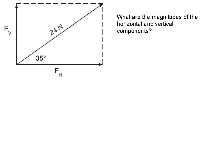 What are the magnitudes of the horizontal and vertical components? 