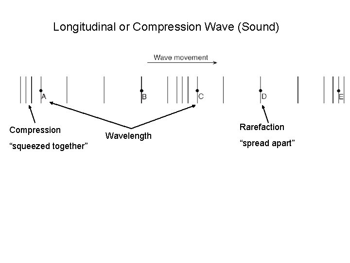 Longitudinal or Compression Wave (Sound) Compression “squeezed together” Wavelength Rarefaction “spread apart” 