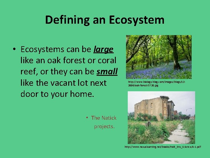 Defining an Ecosystem • Ecosystems can be large like an oak forest or coral