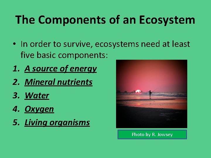 The Components of an Ecosystem • In order to survive, ecosystems need at least