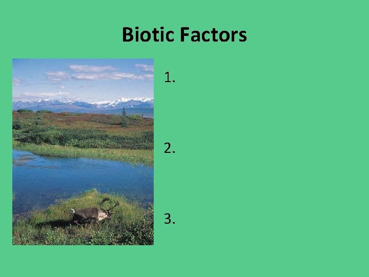 Biotic Factors 1. 2. 3. 