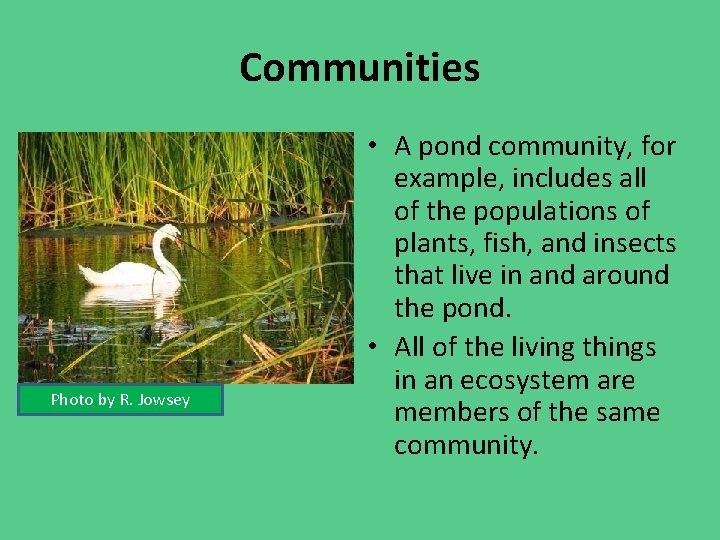 Communities Photo by R. Jowsey • A pond community, for example, includes all of