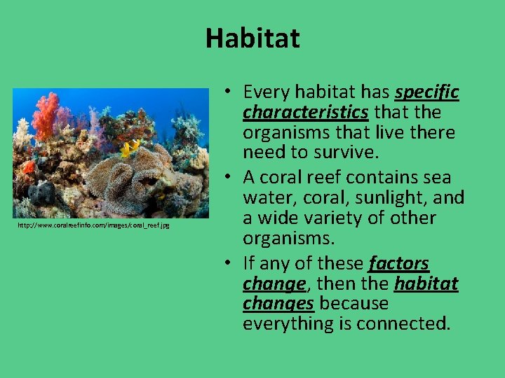 Habitat http: //www. coralreefinfo. com/images/coral_reef. jpg • Every habitat has specific characteristics that the