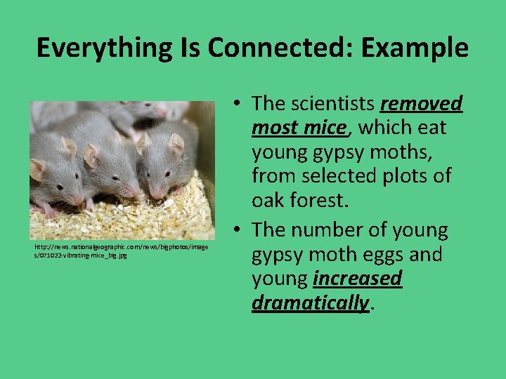 Everything Is Connected: Example http: //news. nationalgeographic. com/news/bigphotos/image s/071022 -vibrating-mice_big. jpg • The scientists