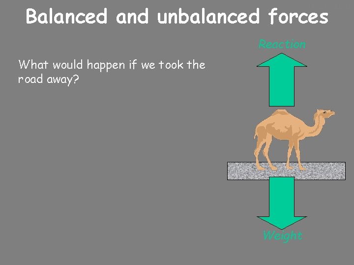 10/24/2020 Balanced and unbalanced forces Reaction What would happen if we took the road