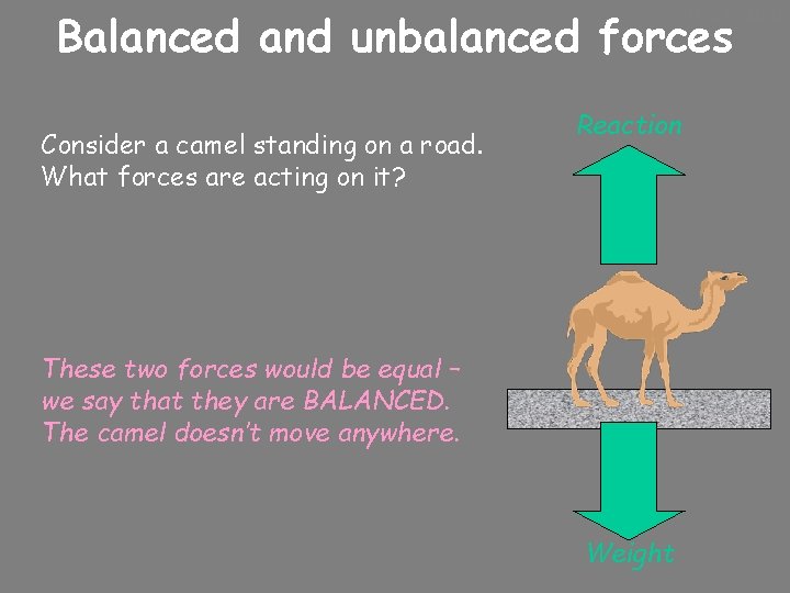 10/24/2020 Balanced and unbalanced forces Consider a camel standing on a road. What forces