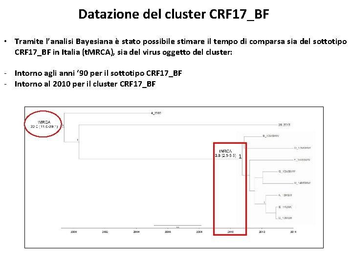 Datazione del cluster CRF 17_BF • Tramite l’analisi Bayesiana è stato possibile stimare il