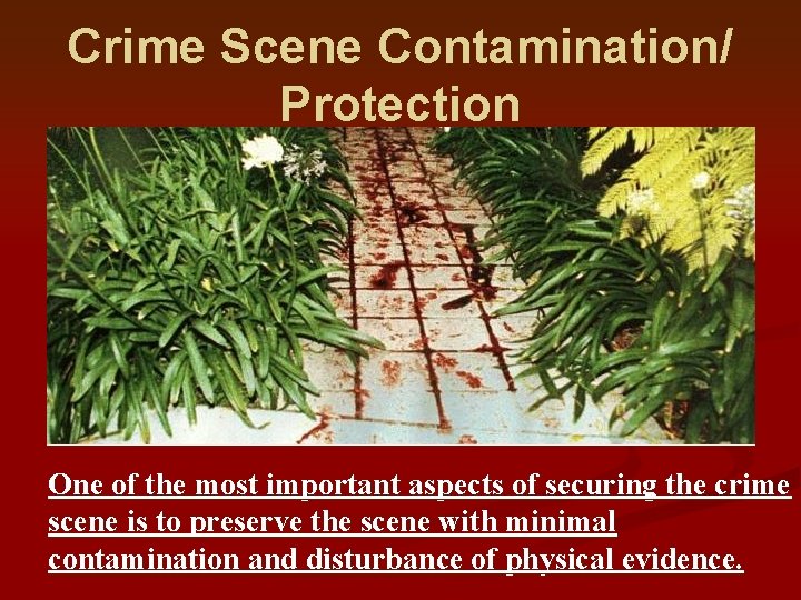 Crime Scene Contamination/ Protection One of the most important aspects of securing the crime