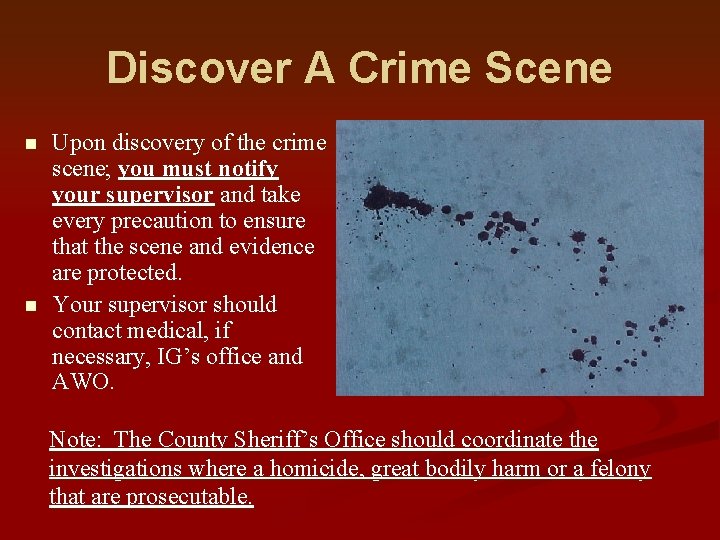 Discover A Crime Scene n n Upon discovery of the crime scene; you must