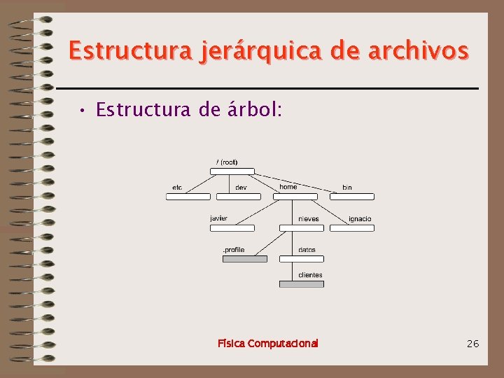 Estructura jerárquica de archivos • Estructura de árbol: Física Computacional 26 