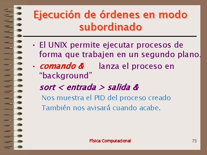 Ejecución de órdenes en modo subordinado • El UNIX permite ejecutar procesos de forma