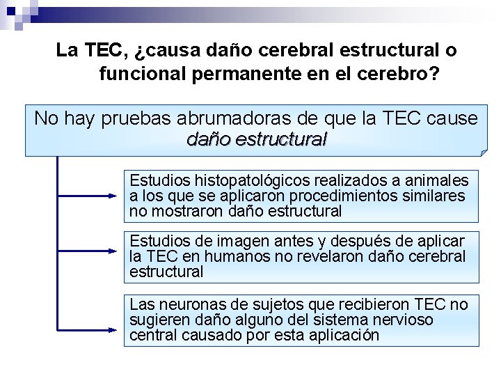 La TEC, ¿causa daño cerebral estructural o funcional permanente en el cerebro? No hay