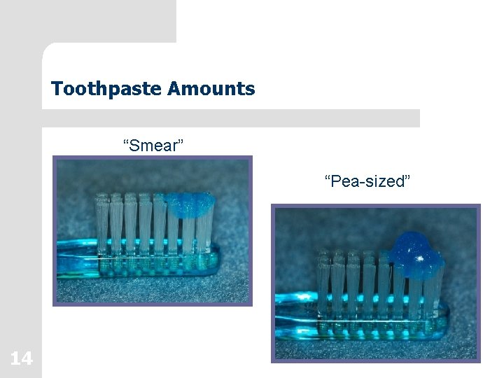 Toothpaste Amounts “Smear” “Pea-sized” 14 Toothpaste Amounts “Smear” “Pea-sized” 14