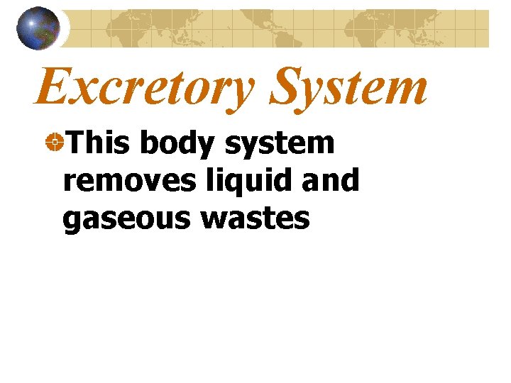 Excretory System This body system removes liquid and gaseous wastes 